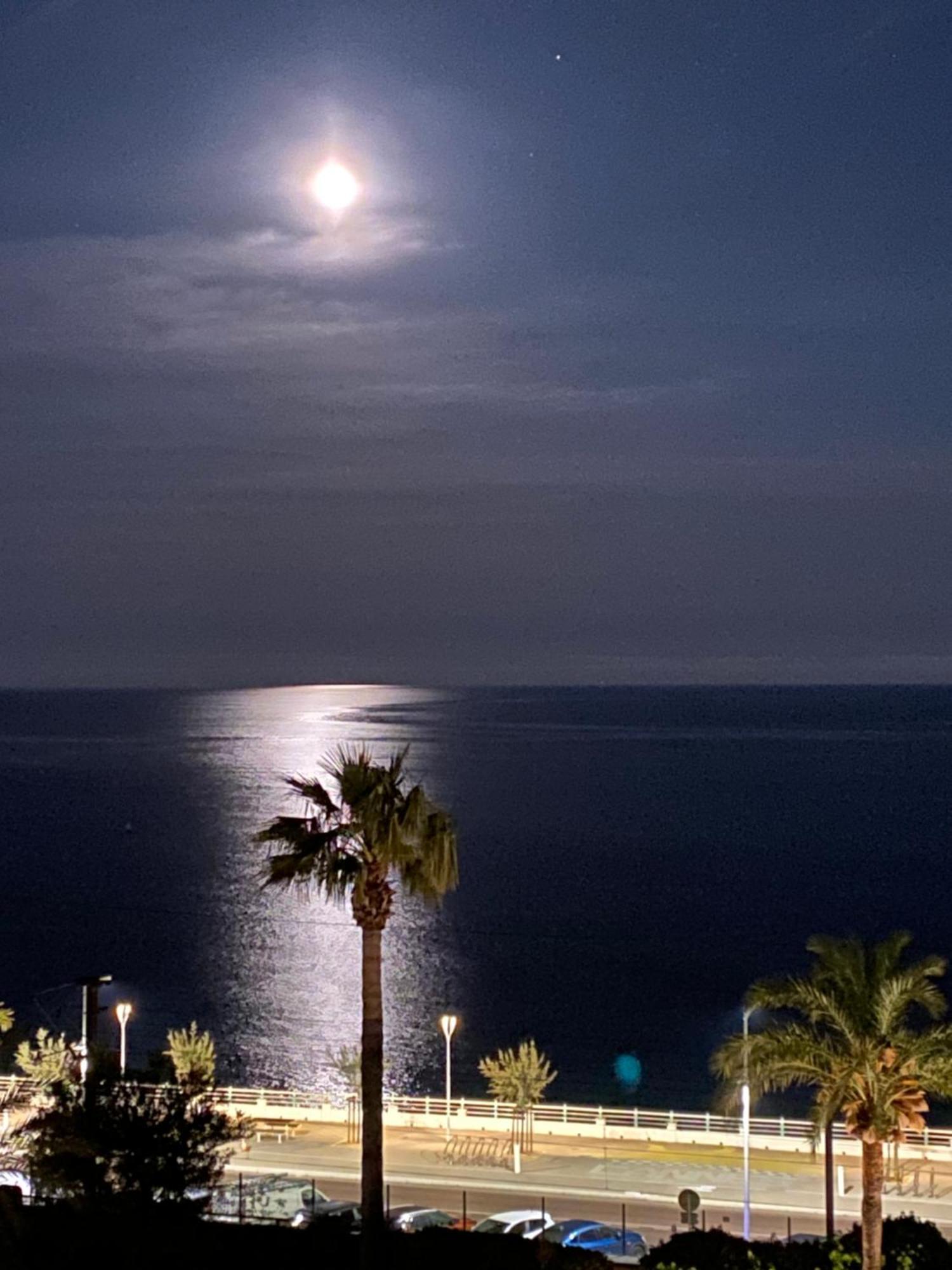 Bord De Mer, Terrasse, Tout A Pieds Cannes Exteriér fotografie
